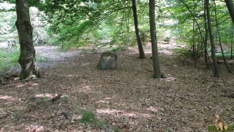 Ritterstein Nr. 146-5 Dammbrunnen.JPG - Ritterstein Nr.146  Dammbrunnen                               